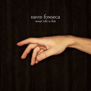 Pochette de What Life Is For de David Fonseca