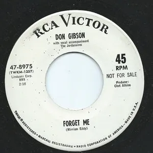 Pochette de Funny Familiar Forgotten Feelings / Forget Me de Don Gibson