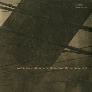 Pochette de And in the Endless Pause There Came the Sound of Bees de Jóhann Jóhannsson