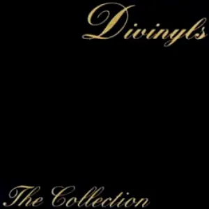 Pochette de The Collection de Divinyls
