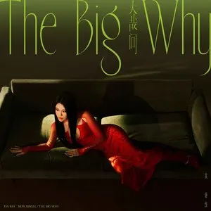 Pochette de 大哉问 (THE BIG WHY) de Tia Ray