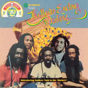 Pochette de The Never Ending Wailers de The Wailers Band