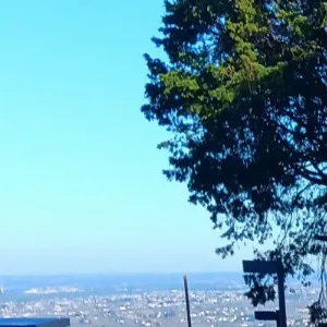 Pochette de céuazul de dgty