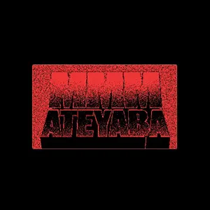 Pochette de MMM (Money Makin Mitch) de Ateyaba