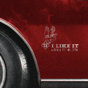 Pochette de I Like It - Alesso & Sentinel Remix de Alesso