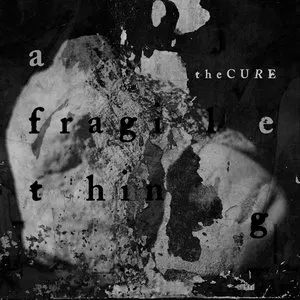 Pochette de A Fragile Thing de The Cure