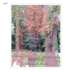 Pochette de Circle in the Forest de Asturias