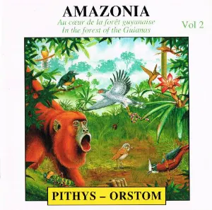 Pochette de Amazonie, Vol. 2 de Pierre Huguet - Olivier Tostain