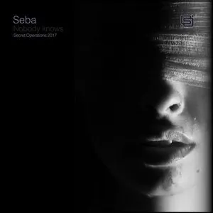 Pochette de Nobody Knows de Seba