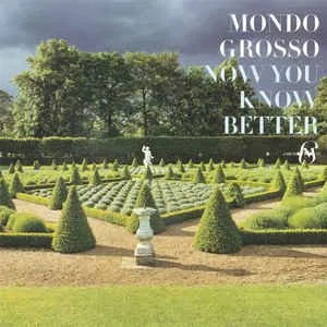 Pochette de NOW YOU KNOW BETTER de MONDO GROSSO