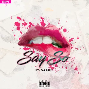 Pochette de Say So de Pa Salieu
