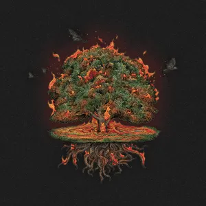 Pochette de PULSE de PhaseOne