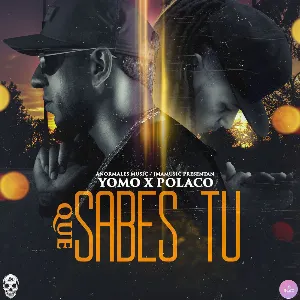 Pochette de Qué sabes tú de Polakán - Yomo