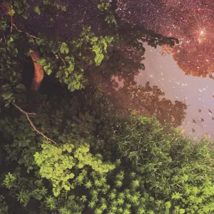 Pochette de Hxnt//gxthxr de invention_