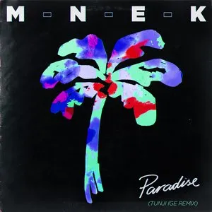 Pochette de Paradise (Vintage Culture Remix) de MEDUZA