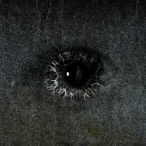 Pochette de Ferocious Fellowman de Psychonaut