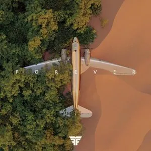 Pochette de FOREVER de Flight Facilities