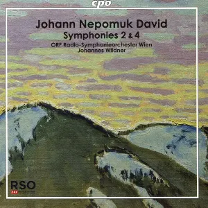 Pochette de Symphonies 2 & 4 de ORF Radio‐Symphonieorchester Wien - Johannes Wildner
