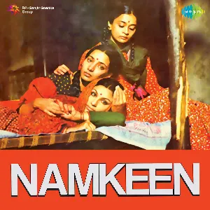 Pochette de Namkeen de Rahul Dev Burman