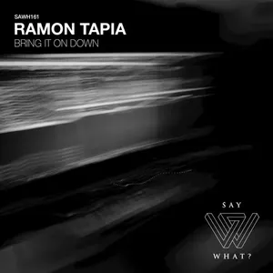 Pochette de Bring It On Down de Ramon Tapia