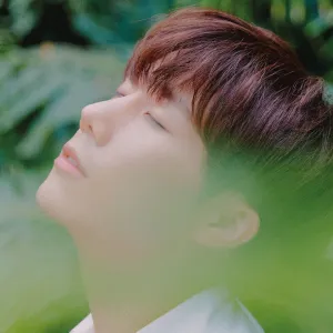 Pochette de SAVIOR de Sungkyu