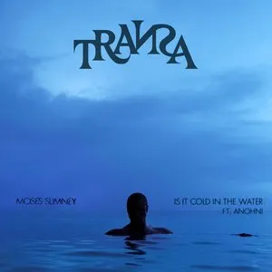 Pochette de Is It Cold In The Water? de Moses Sumney