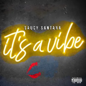 Pochette de It's a Vibe de Saucy Santana