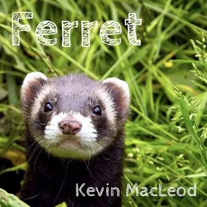 Pochette de Ferret de Kevin MacLeod