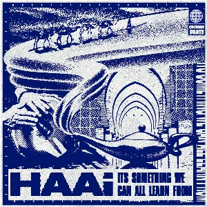 Pochette de It's Something We Can All Learn From de HAAi