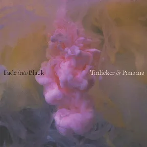 Pochette de Fade Into Black de Tinlicker