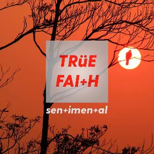 Pochette de Sentimental de True Faith