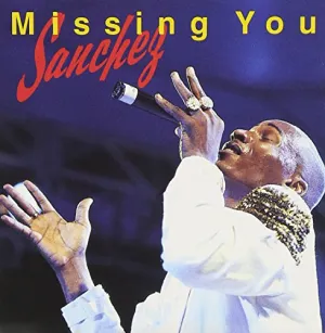 Pochette de Missing You de Sanchez