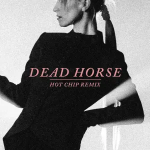 Pochette de Dead Horse (Hot Chip remix) de Hayley Williams