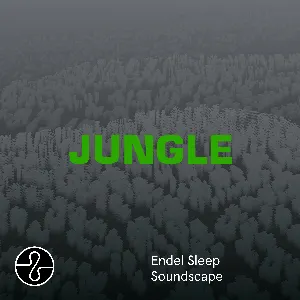 Pochette JUNGLE (Sleep Soundscape)