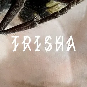 Pochette de TRISHA de VTSS