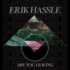 Pochette de Are You Leaving de Erik Hassle
