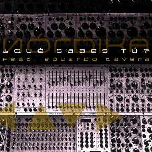 Pochette de ¿Qué sabes tú? de Nórdika