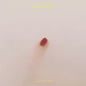Pochette de VANILLA VILLA de Sunset Rollercoaster