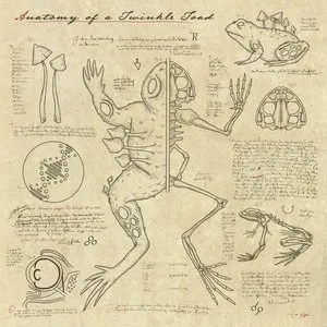 Pochette de Anatomy of a Twinkle Toad de Truth
