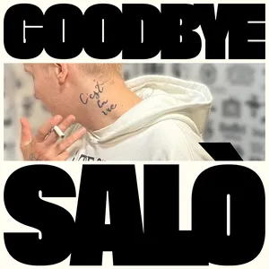 Pochette de GOODBYE SALÒ THE REMIXES de Brutalismus 3000