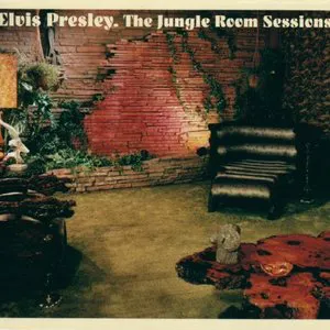 Pochette The Jungle Room Sessions