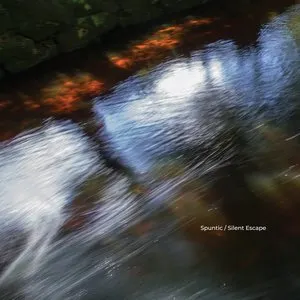 Pochette de Silent Escape de Spuntic