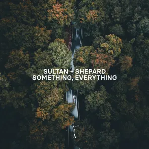 Pochette de Something, Everything de Sultan + Shepard