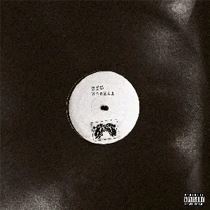 Pochette de 2FS / Woohaa de Kojey Radical