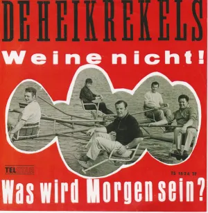 Pochette de Weine nicht! / Was wird Morgen sein? de De Heikrekels