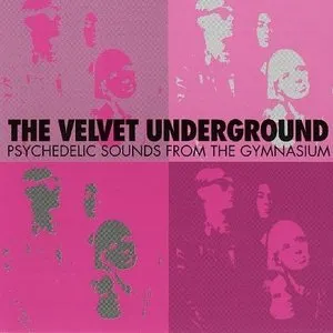 Pochette Psychedelic Sounds From the Gymnasium