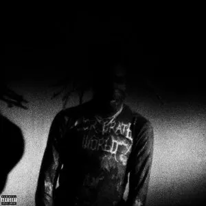 Pochette de NOSTYLIST de Destroy Lonely