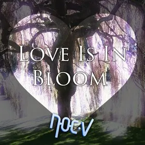 Pochette de Love Is In Bloom de Noc.V