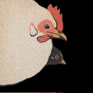 Pochette de One Bird Two Bird de Jim O’Rourke - Mats Gustafsson