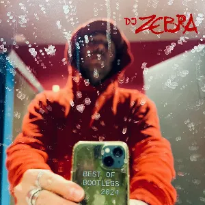 Pochette de Best of Bootlegs 2024 de Zebra